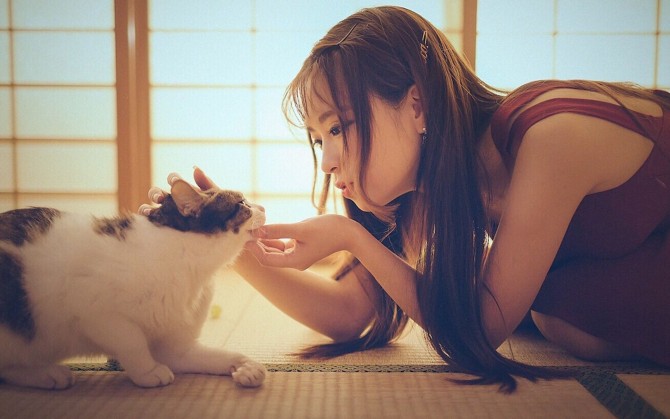 唯美清纯美女好看的电脑桌面背景_皮皮网 清纯萌妹子与一只可爱的猫咪在复古的风格背景下衬托的很美丽。暖色的阳光让你看着更加的不舍得。
