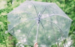 绿色的树叶背景护眼又养眼,一个透明的雨伞看着特别的唯美呢